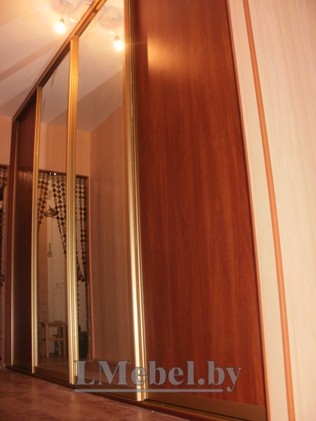 Шкафы-купе под заказ